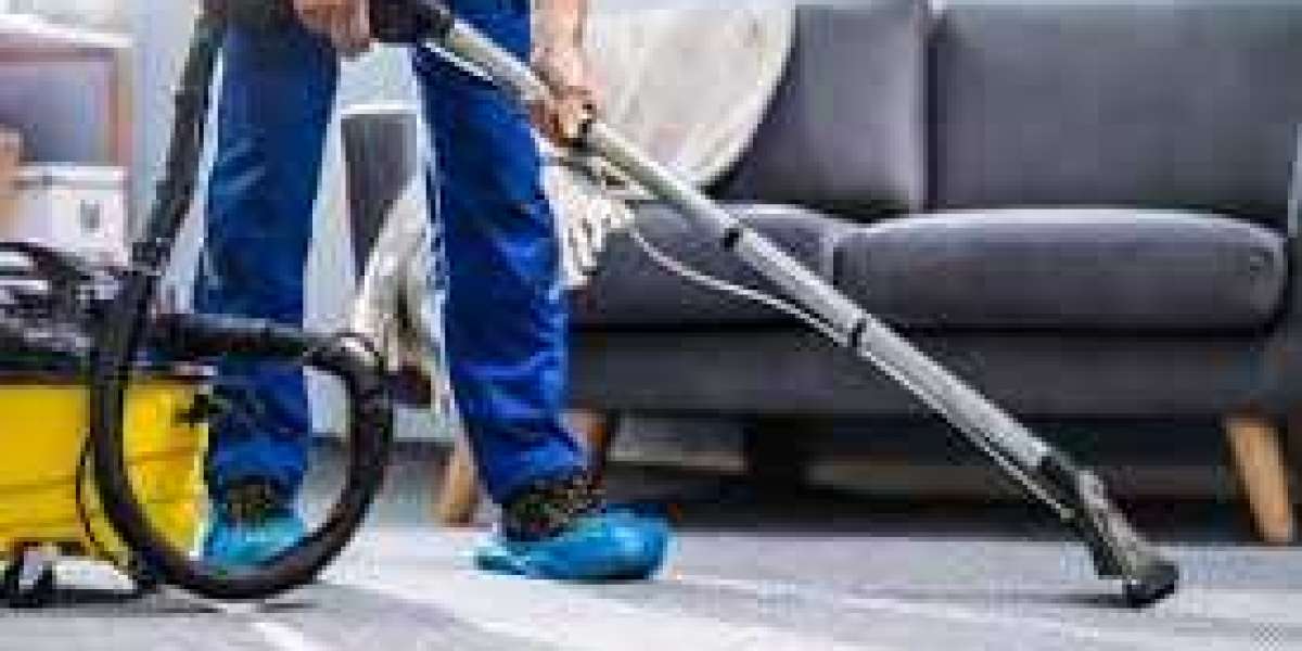 How Carpet Cleaning Contributes to a Healthy Living Environment