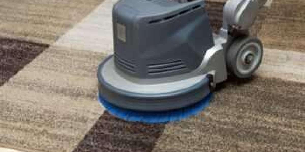 Boost Your Home’s Air Quality and Comfort with Carpet Cleaning